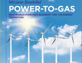 Power-to-Gas Renewable Hydrogen Economy for the Energy Transition