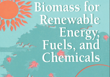 Biomass_for_renewable_energy